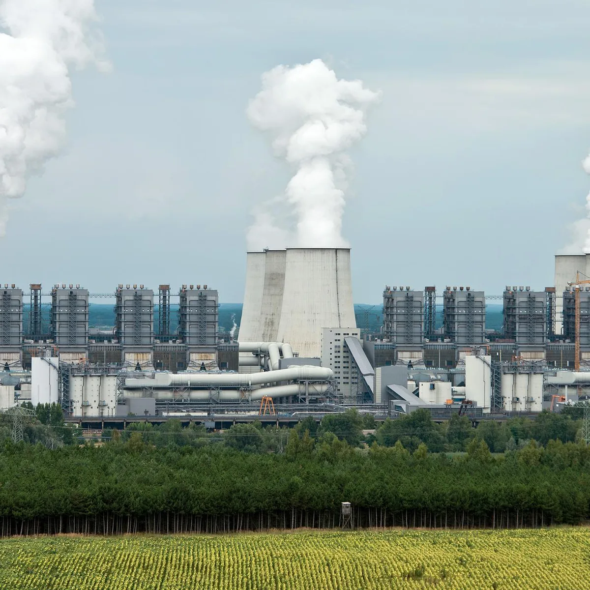 In der Nähe von Kohlekraftwerk - Sprengvorrichtungen an Umspannwerk in Brandenburg gefunden
