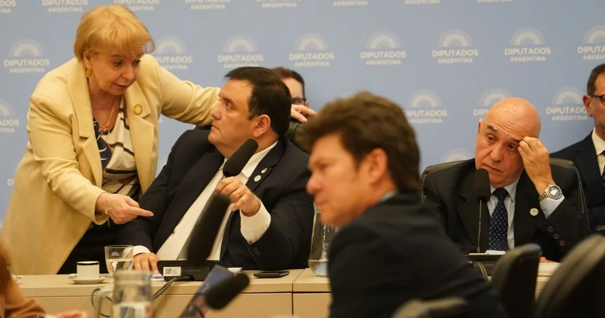 Emergencia en Discapacidad: funcionarios defendieron la gestión y el oficialismo prometió un proyecto superador