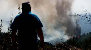 Proença-a-Nova. Combate a fogos mobilizou mais de 800 bombeiros