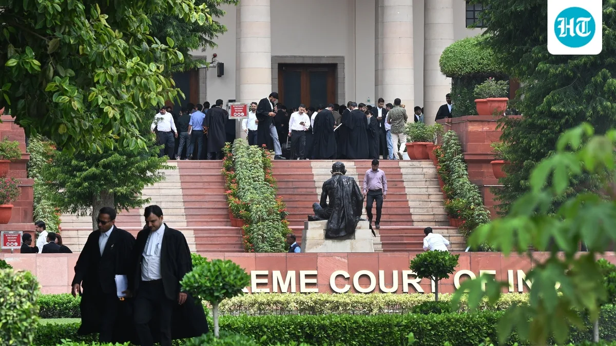 'Only pro-tem chairman': SC to Bar Council chief Manan Mishra amid pleas challenging his tenure
