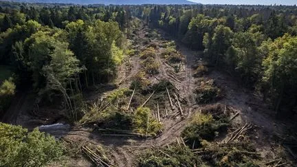 En Haute-Savoie, la justice administrative rejette le recours des opposants au projet d'autoroute A412