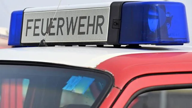 Bernsgrün: Stallbrand mit Hunderten toten Schweinen – Millionenschaden