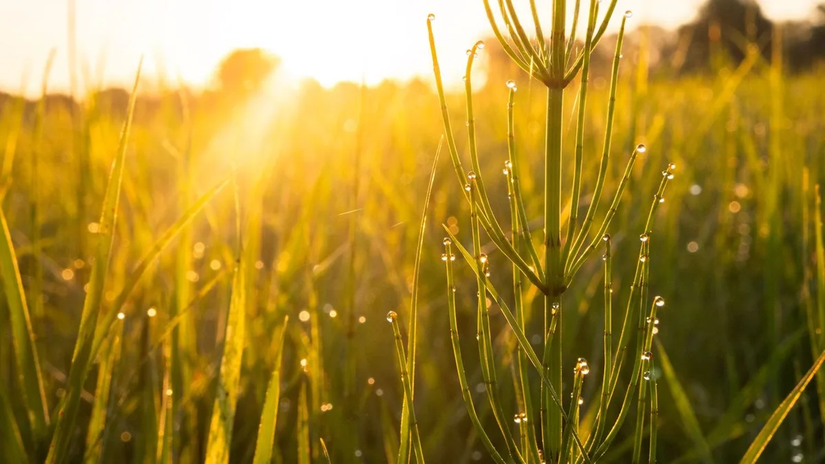 Wetter: Der Sommer kehrt zurück – doch für wie lange?