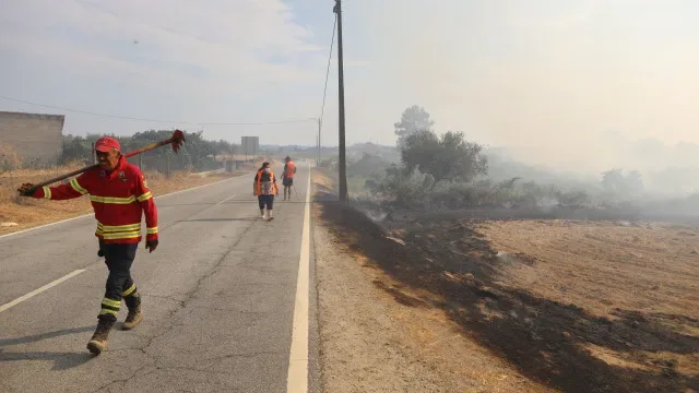 Mais de 100 operacionais e três meios aéreos combatem fogo em Aveiro