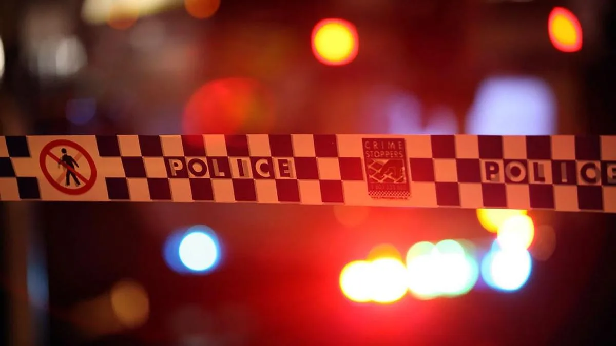 Elderly woman dies, man arrested after alleged stabbing