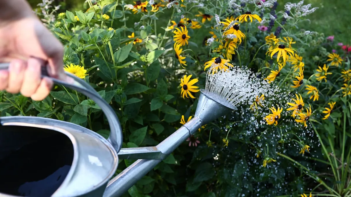 Wegen Wasserknappheit - Hier drohen 1000 Euro Buße fürs Blumengießen