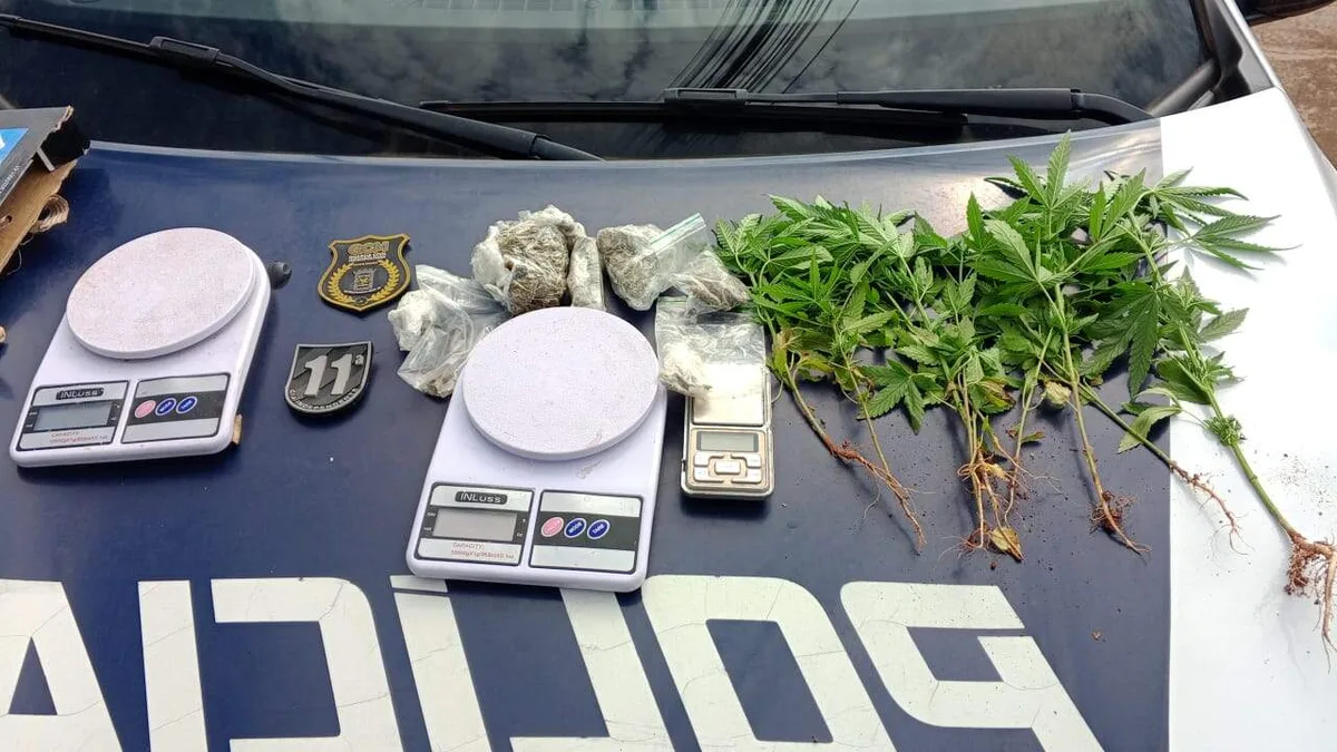 Suspeito de plantar maconha em terreno perto do trabalho é preso