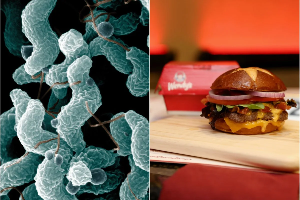 Wendy’s faces lawsuit from woman who was hospitalized after eating ‘bacteria-tainted’ burger