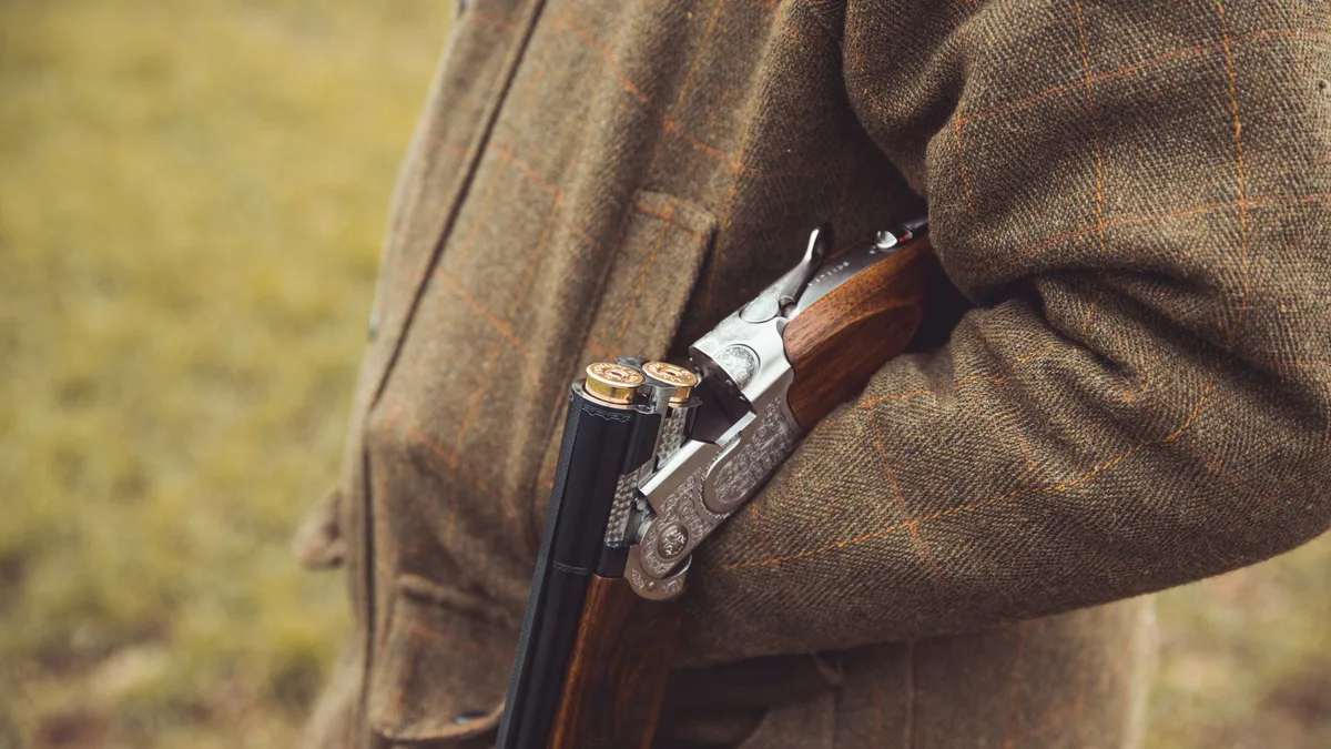 Problems with the gun licensing system are putting people in danger, inspectors warn