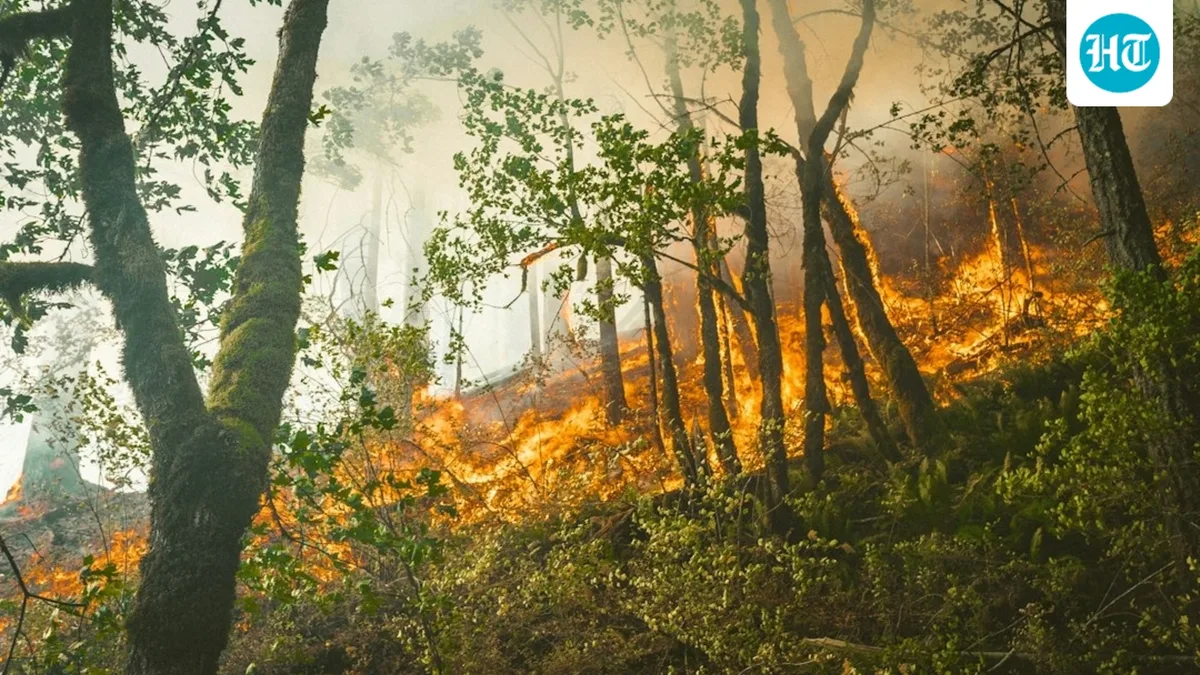 Malibu Bryson Fire: Map, evacuation updates, warning zones as blaze burns near Mulholland Highway