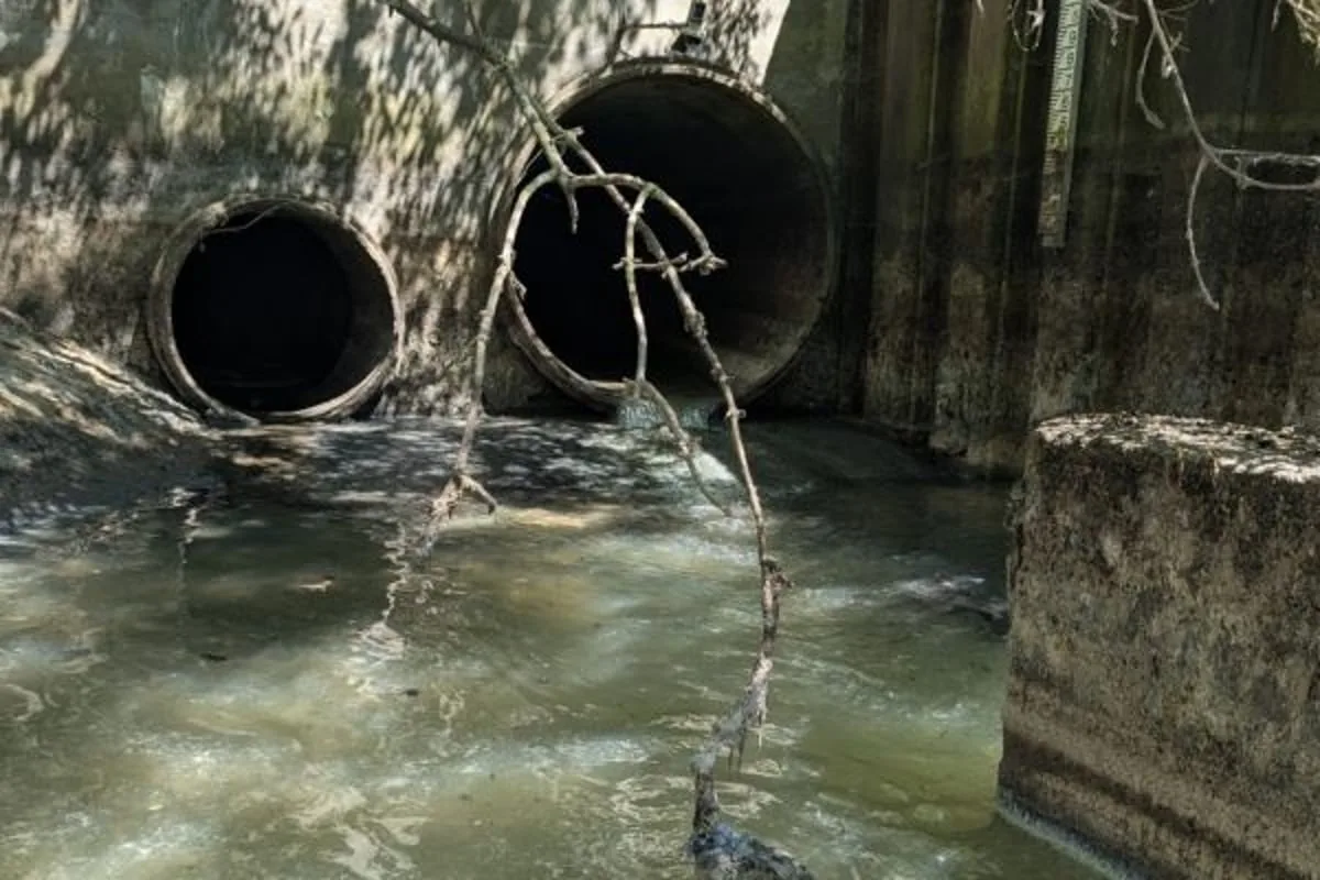 600 million litres of sewage entering river flowing through London each year, shock study finds