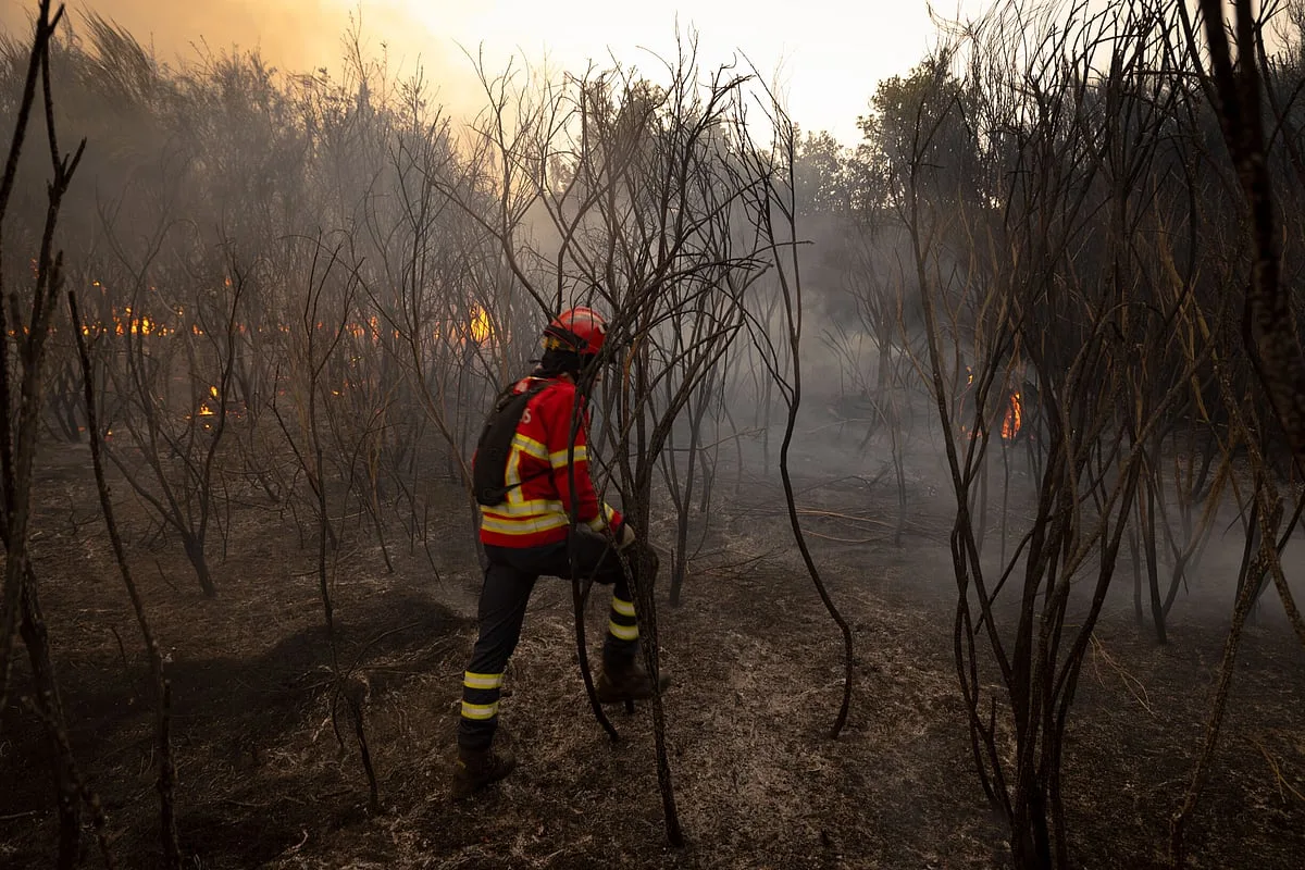 Incêndios: Mais de 750 bombeiros combatem quatro incêndios no norte do país