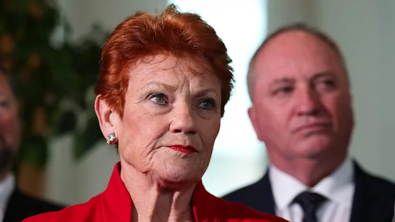 One Nation flip-flops on migration policy after visa numbers question