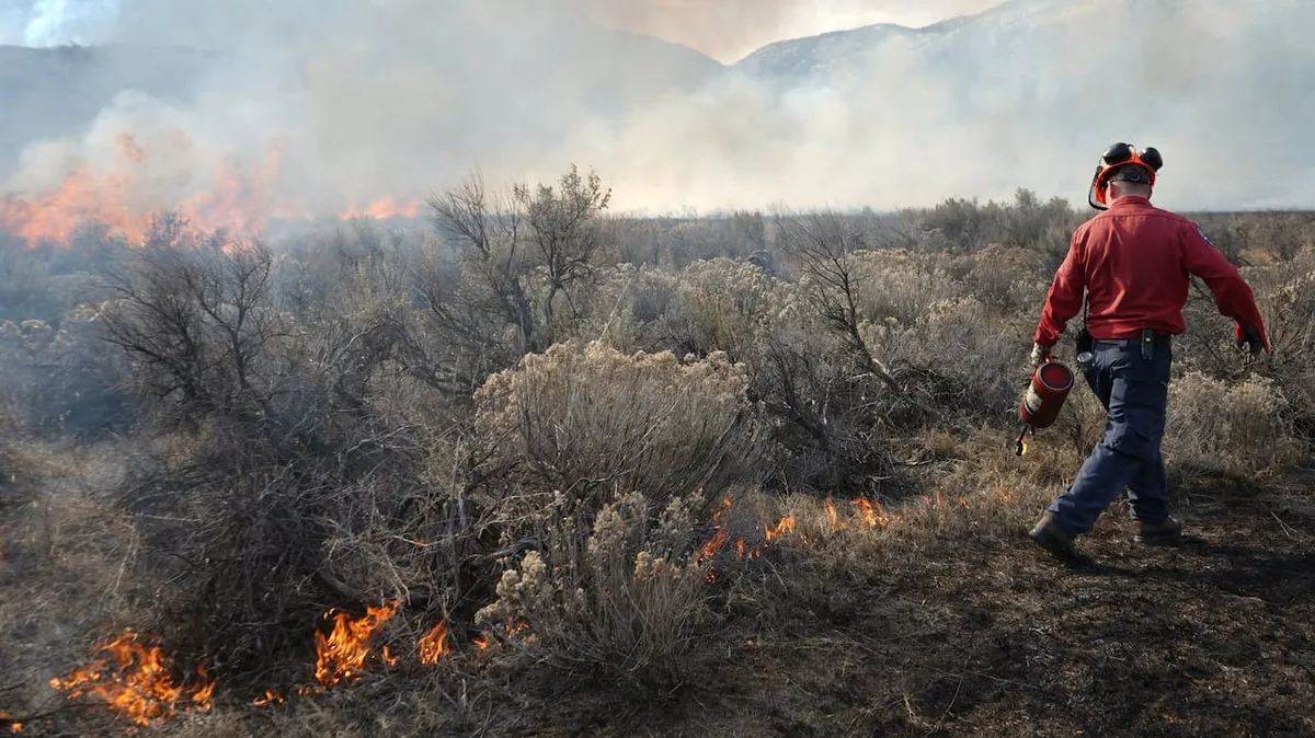 How could wildfires affect Kimberley's drinking water? A $400K project aims to find out