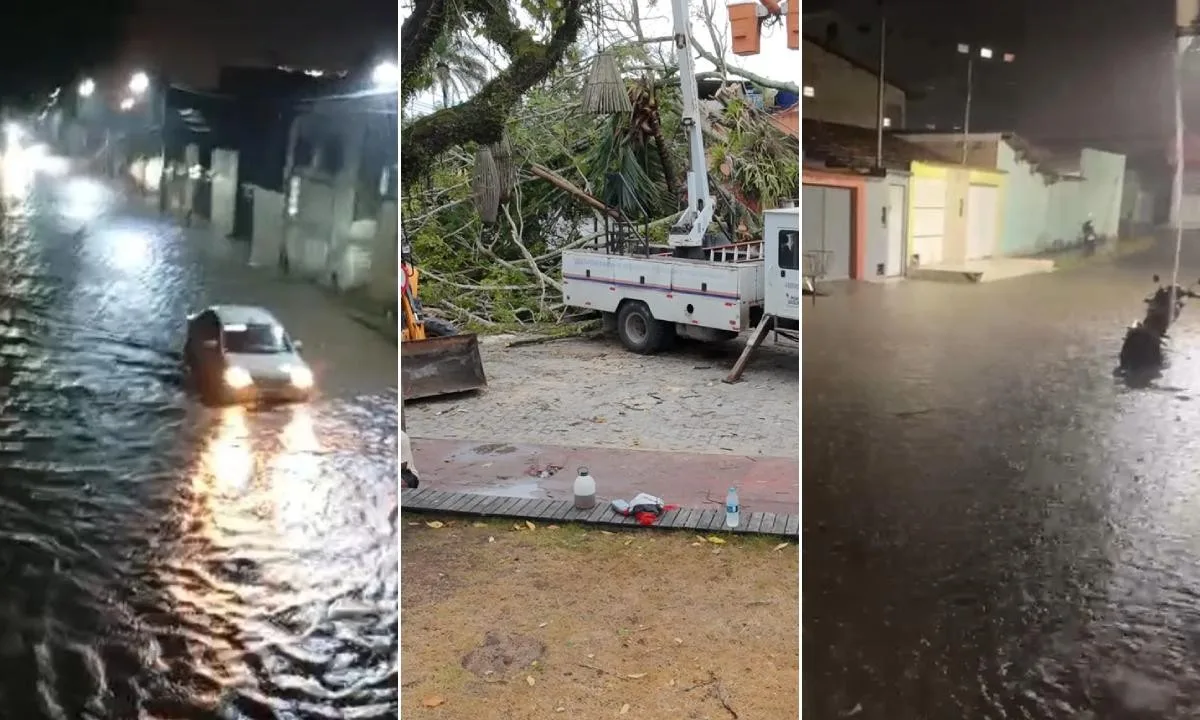 Ruas alagadas, muros desabados e árvores caídas: chuva deixa desalojados e feridos no extremo sul da Bahia