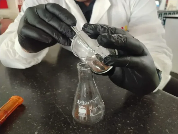 En el Zulia buscan transformar residuos de cacao en pan integral
