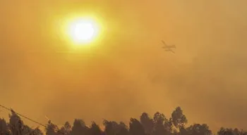 Incêndio no concelho de Tábua mobiliza mais de 200 operacionais
