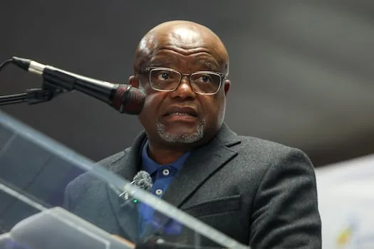 LUCKY MATHEBULA | When public office loses its temper, public representativeness is the casualty