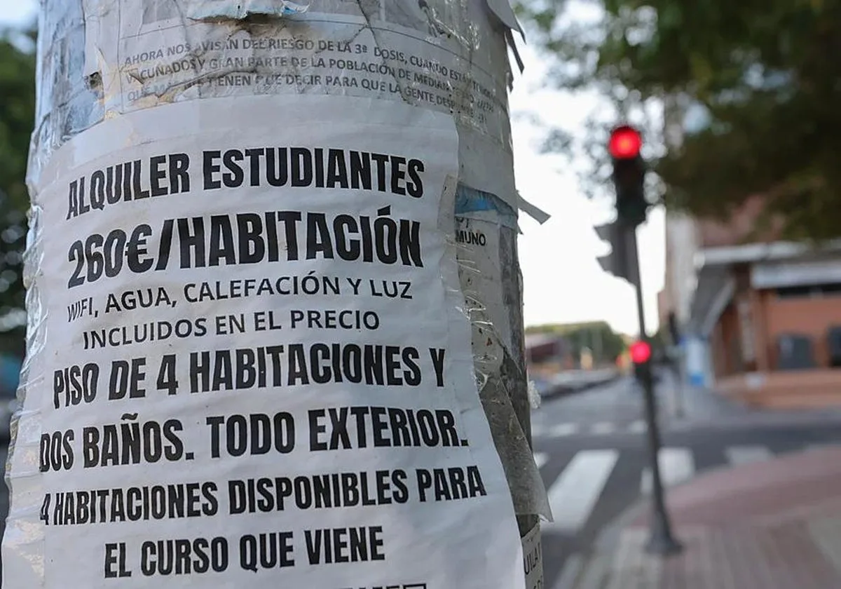 Una habitación es hasta siete veces más cara que una matrícula completa del curso
