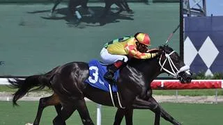 Corredor del Kentucky Derby junto a nueve americanos competirán en La Rinconada