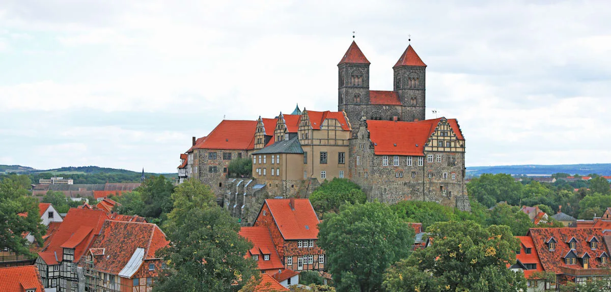 „Sachsen-Anhalt braucht Zuwanderung“ – ostdeutscher Top-Ökonom warnt vor AfD-Effekt