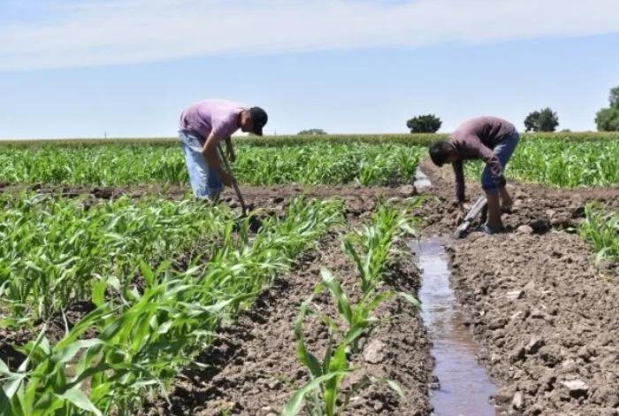 Fedeagro solicita derogar leyes que afecten al campo y pide revisar esquema tributario sobre insumos agrícolas