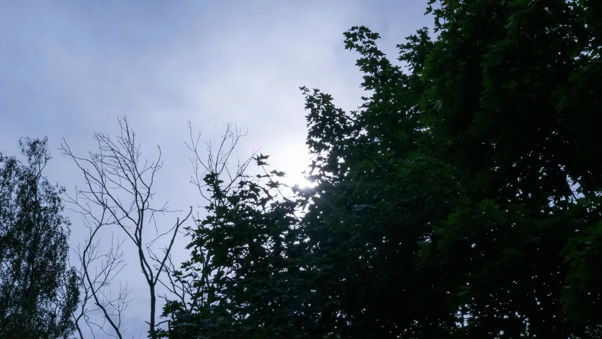 Sommerwetter: Sonnige Tage für Berlin und Brandenburg