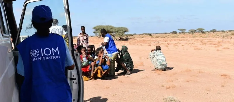 At least 139 migrants dead after boat from Djibouti to Yemen capsizes