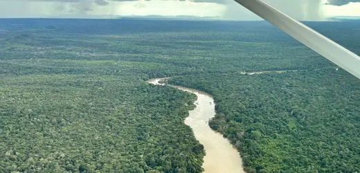 Brasilien: So wenig Regenwald wurde seit 40 Jahren nicht mehr abgeholzt