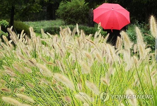 강원 내륙·산지 최대 10㎜ 비…낮 최고 28도