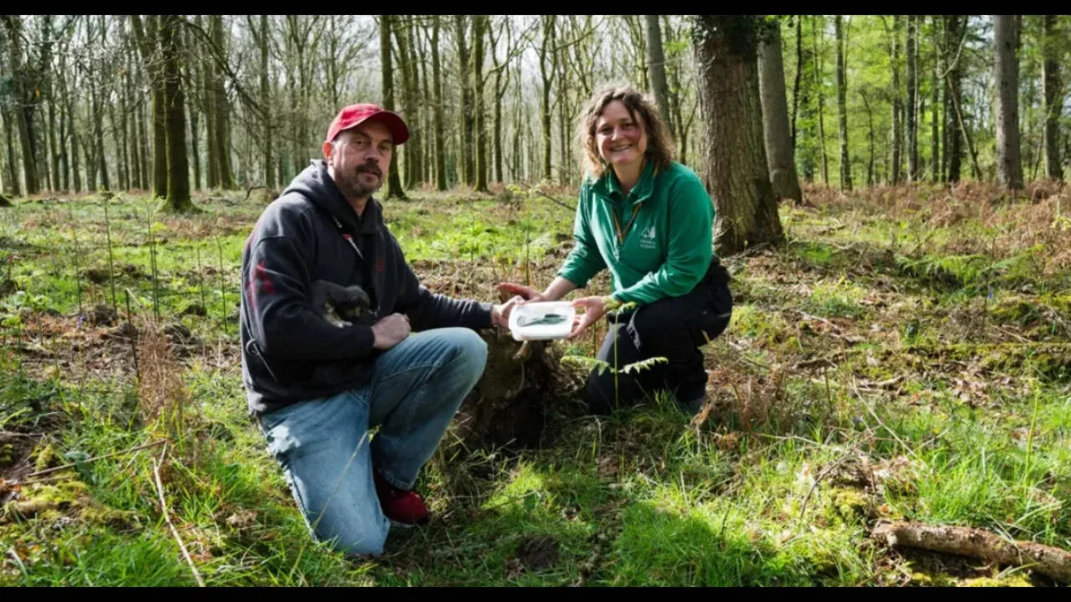 Man and his dog uncover a 3,400-year-old Bronze Age axe in England
