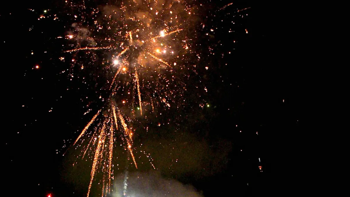 Govt bodies differ, Centre to test green crackers afresh