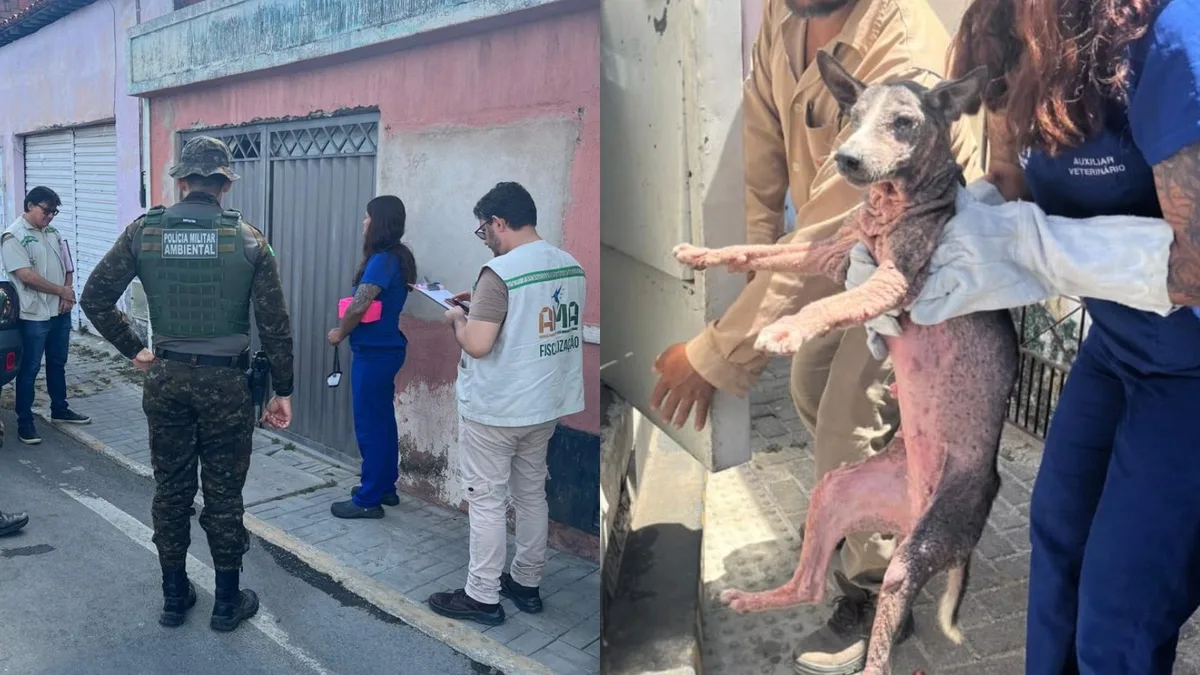 Polícia resgata 19 cães em situação de maus-tratos e prende duas responsáveis pelos animais