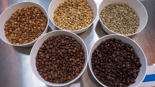 Produção de café no Brasil deverá atingir máximo histórico em 2026