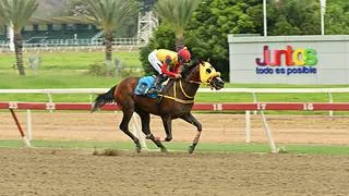 Astuto ganó en la raya la Copa Invitacional de Caribe (GI) en La Rinconada