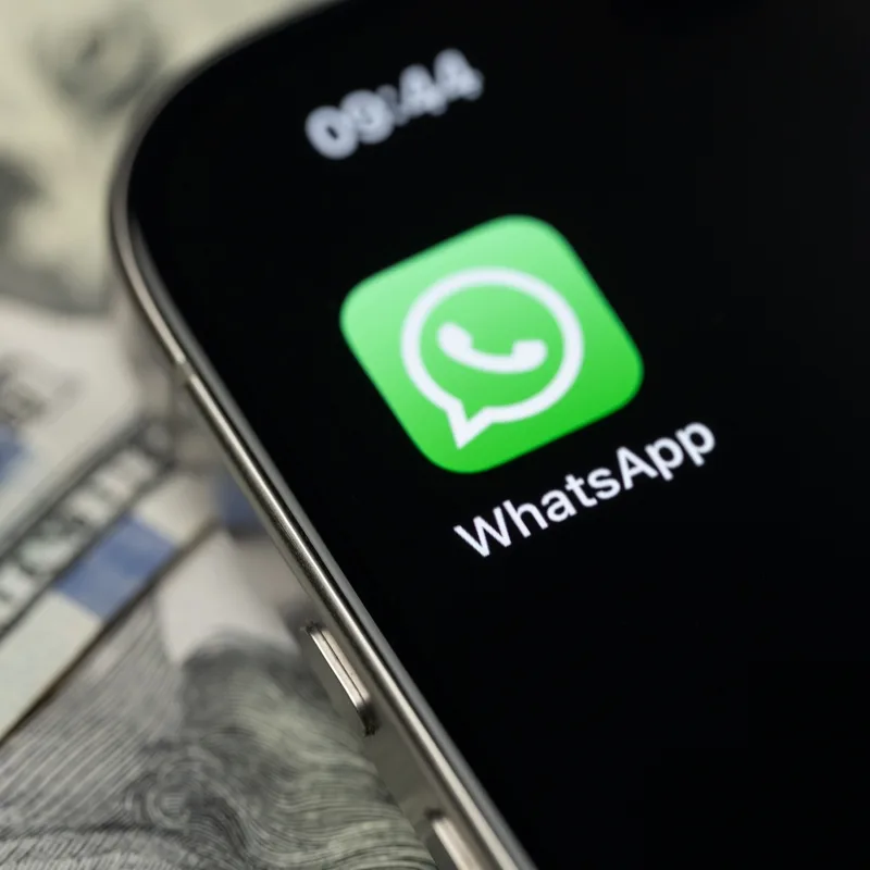 Actualité : Adieu Google, ChatGPT et WhatsApp : nous avons remplacé leurs applications du quotidien par des équivalents européens