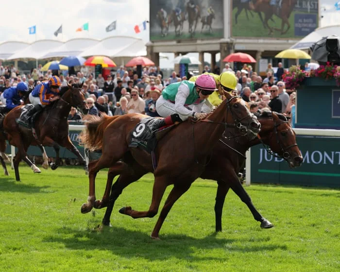 York Ebor meeting: International Stakes and more on day one – horse racing live