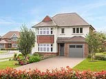 Barratt Redrow chief brands plans for fake chimneys on new homes a 'ridiculous waste of money'