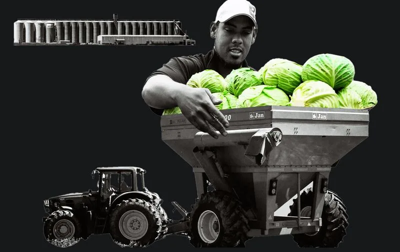 WORLD FOOD DAY OP-ED: El Niño, oil shocks and hunger mean SA needs a synchronised food strategy