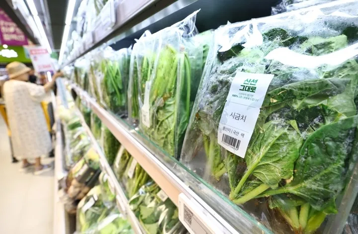 8월 생산자물가 폭염·유가 상승에 0.2%↑…시금치 51.9% 급등