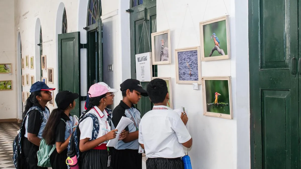 Wildlife photography exhibition opens at Hawa Mahal in Visakhapatnam