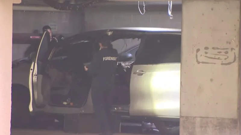 Police hunt armed man in Sydney's Inner West