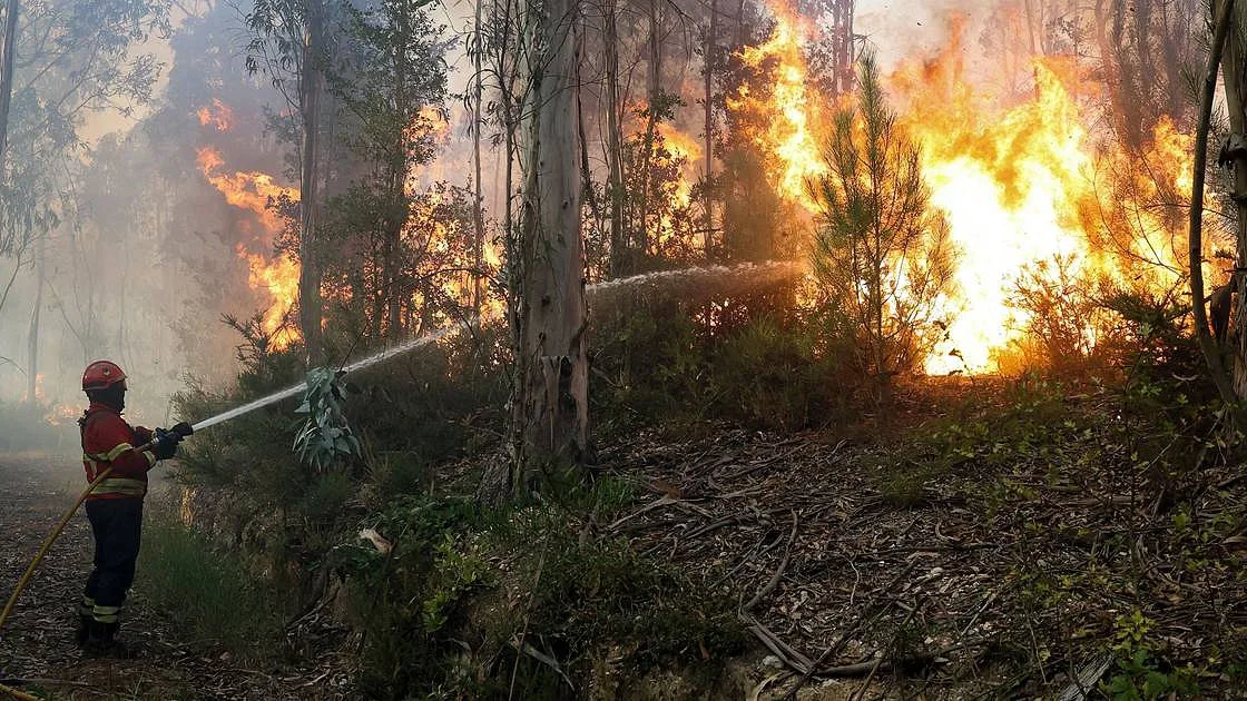 Centenas de bombeiros no combate às chamas no distrito de Coimbra, aldeia de Sabouga na linha de fogo