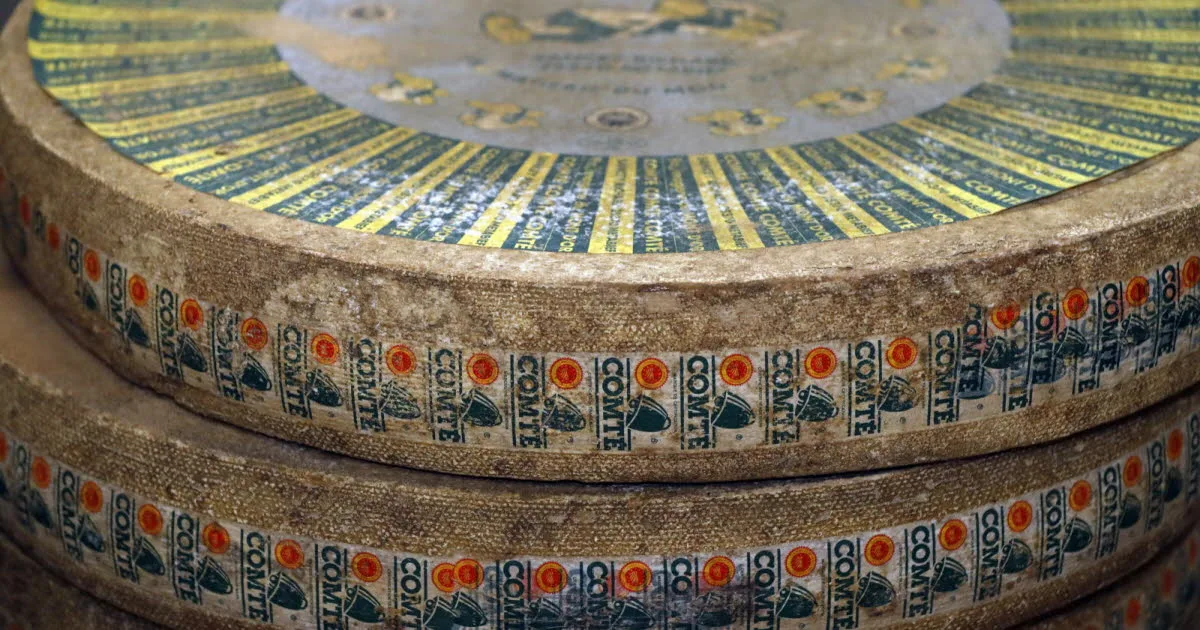 Fromage. Le gouvernement allège la réglementation des comté, beaufort et abondance à cause de la sécheresse