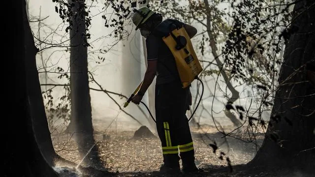 Sinkende Gefahr: Nach Regen: Ministerium hebt Alarmstufe für Waldbrände auf