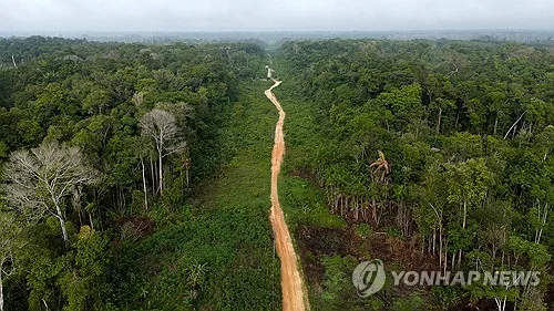 아마존 파괴속도 사상 최저…룰라 환경치적에 표심 움직일까