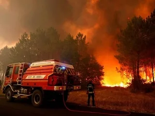 Comment la filière du bois s’organise après les incendies ?