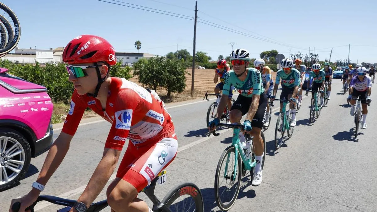 Leader Pogacar forced to abandon Vuelta after crash