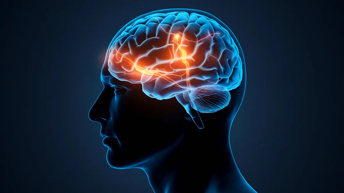 Human brains usually decay first; some survived 12,000 years. Here's how