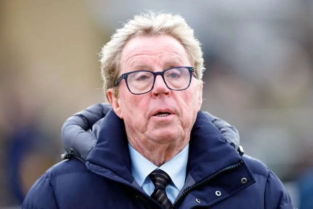 Harry Redknapp's brutal Michael Carrick manager verdict is a warning Man Utd must heed
